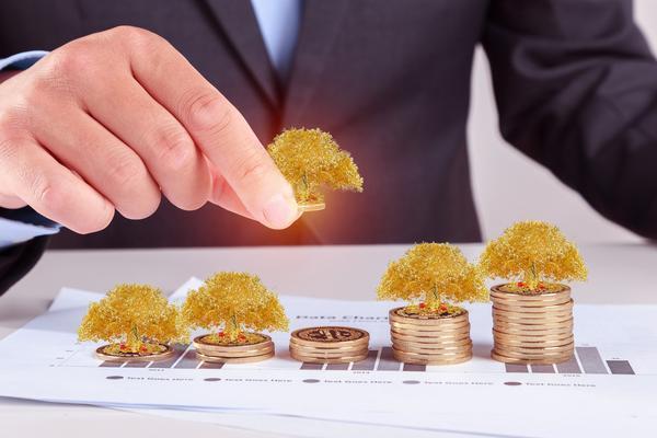 项目融债务管理与风险控制|担保公司|资金流动性 图1