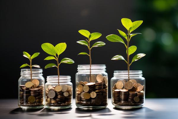 大雁私募基金：智能化投资引领未来财富管理 图2