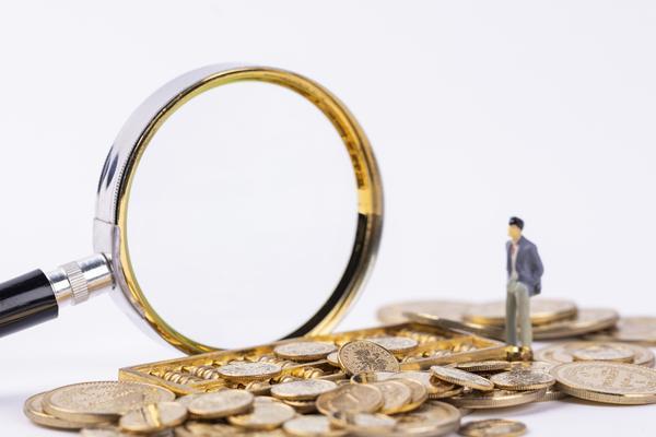 京东金融普通白条额度查询与管理指南-项目融资中的信用工具解析 图2