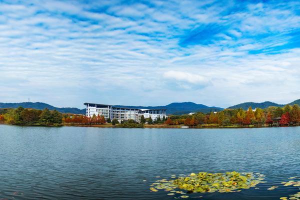 上市企业参与大学培训的优势：提升企业竞争力与人才队伍建设图1