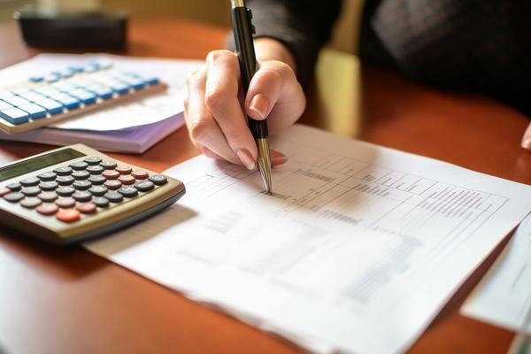 贷款调查报告债务|项目融资中的债务风险评估与管理 图1