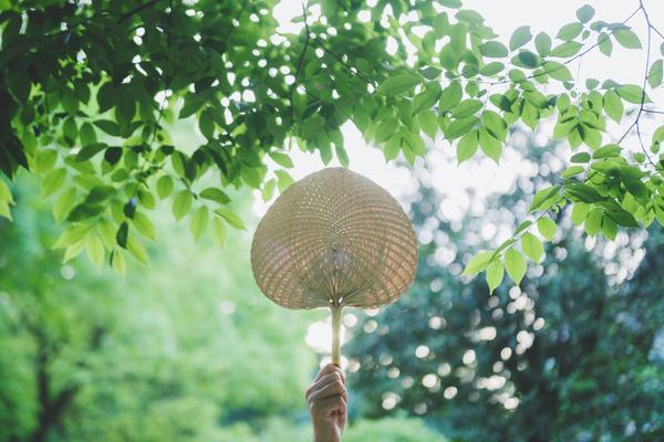 2023年我国旅游业的上市企业排行榜前十名 图2