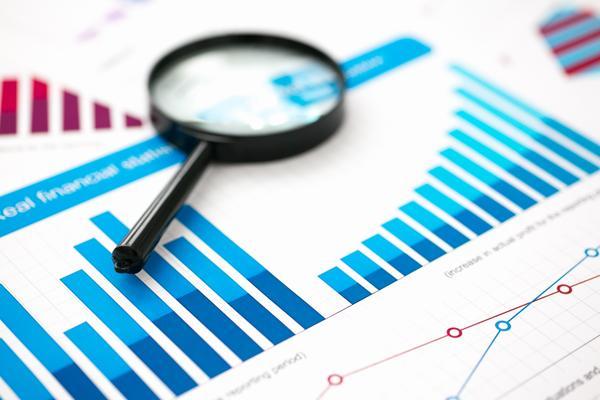 人力资源和社会保障部编号查询|项目融资中的关键数据支持 图2