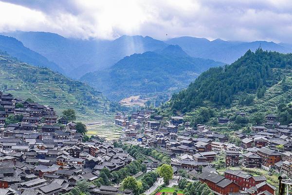 小猪民宿：创新商业模式下的乡村休闲旅游业图1
