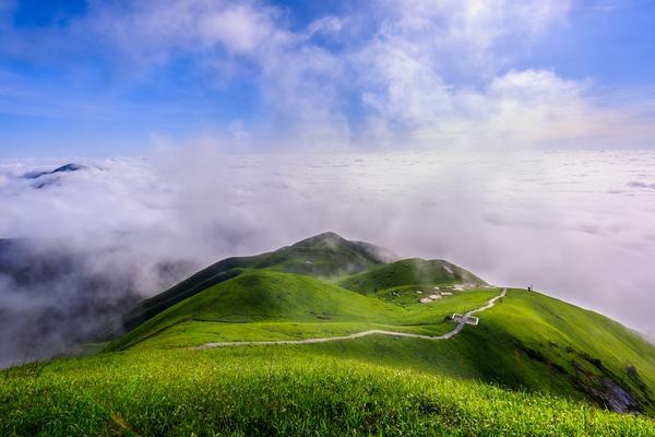 旅游管理考公务员|广西岗位选择与职业发展解析 图1