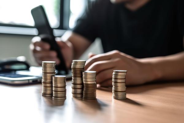货币性项目：金融资产中的重要组成成分图1