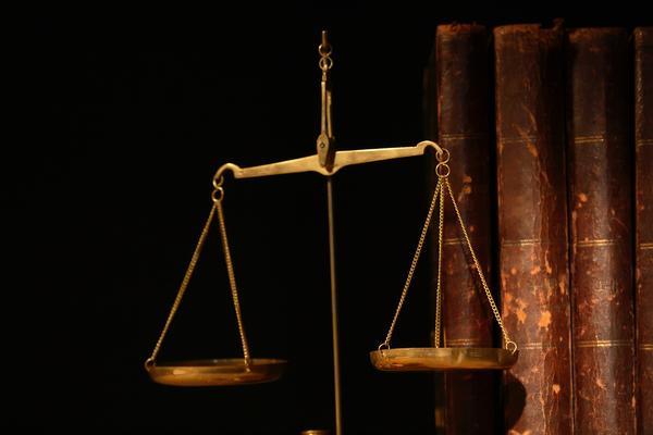 我国上市公司融资案件研究 图1