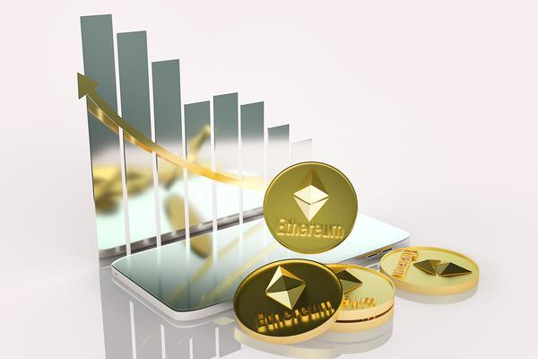 《私募基金交易员：实现财富增值的神秘》 图2