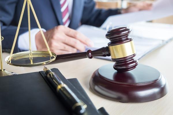 新领域公益诉讼案件管理制度优化与项目融实践应用 图1