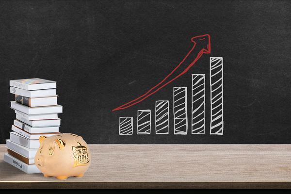 车贷猫腻解析：项目融资中的金融诈骗与合同陷阱 图1