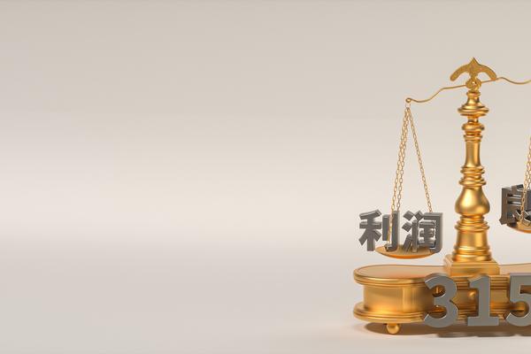 贷款授信额度标准解析|项目融资中的关键考量 图1