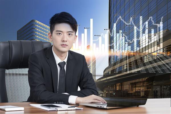 数据库营销技术支持|项目融资领域的数字化转型与创新 图2