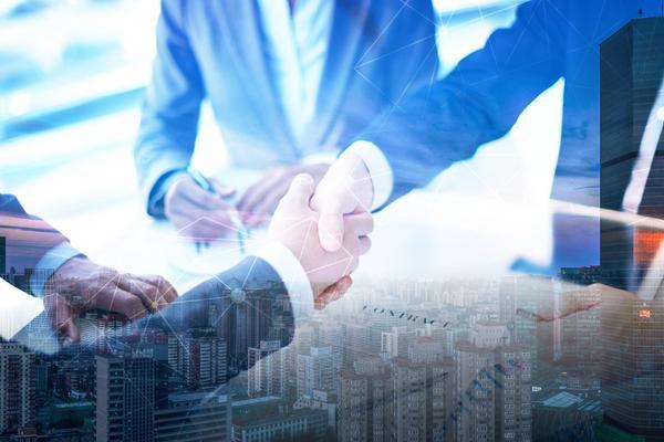 栖梧人力资源有限查询|项目融资领域的关键信息管理 图2