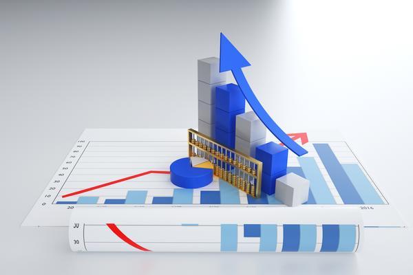 报关行业竞争力分析|项目融资领域的关键策略 图2