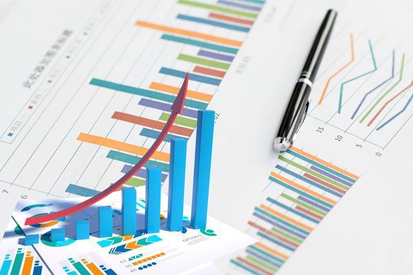 营销培训自我评价范文：提升项目融资能力的关键路径 图2