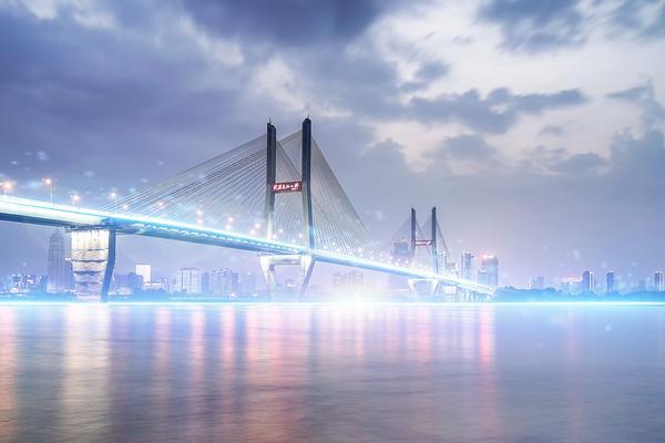 中粮集团市场需求调查报告|项目融资|粮食产业 图2