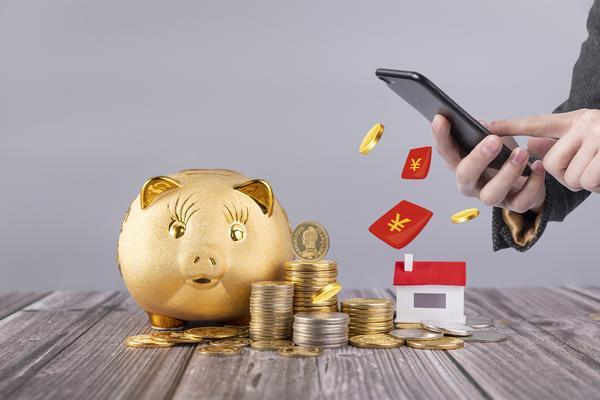 海安人才市场调研工作|项目融资视角下的市场分析与策略建议 图1
