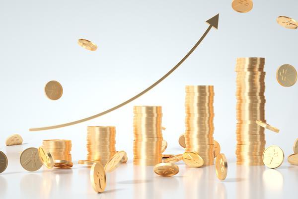 民办幼儿园资金退出的路径与策略 图1