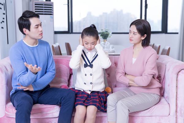 京东白条延期还款解析及对个人信用的影响 图1